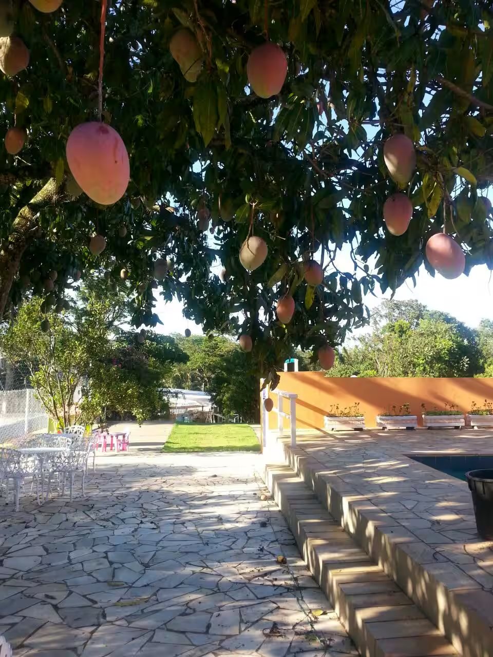 Chacara Sonho Verde Top - foto 102